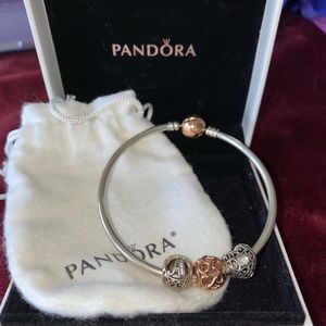 Pandora bracelet